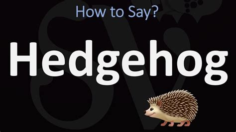 hedgehog pronounce